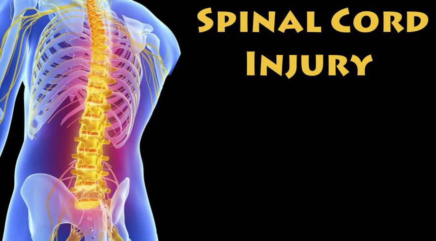 Spinal Cord & Brain Injury | PatientsLearn